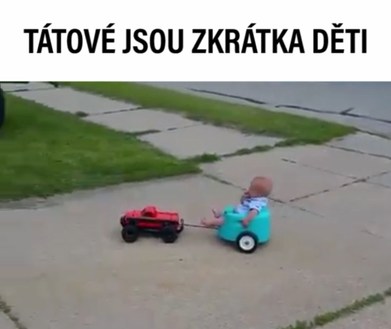 VIRÁLY TÝDNE: Jak zabavit mimino i tatínka? A jak vás může obelstít pavouk?