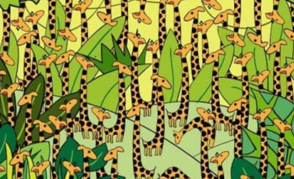 FOTO: Hádanka pro&nbsp;bystré hlavy! Dokážete ji vyřešit?