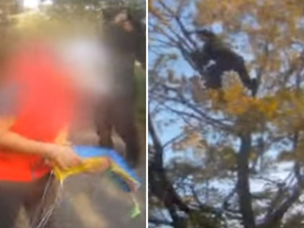 Mohli byste vyjet? Chlapec prosil strážníky, jestli mu nesundají draka ze stromu