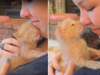 Dojemné VIDEO: Této kouličce zkrátka nejde odolat!