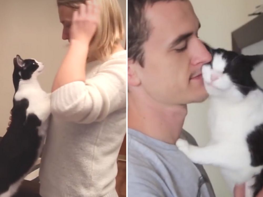 VIDEO: Pár se ujal odložené kočky. Domácí mazlíček jim lásku maximálně oplácí