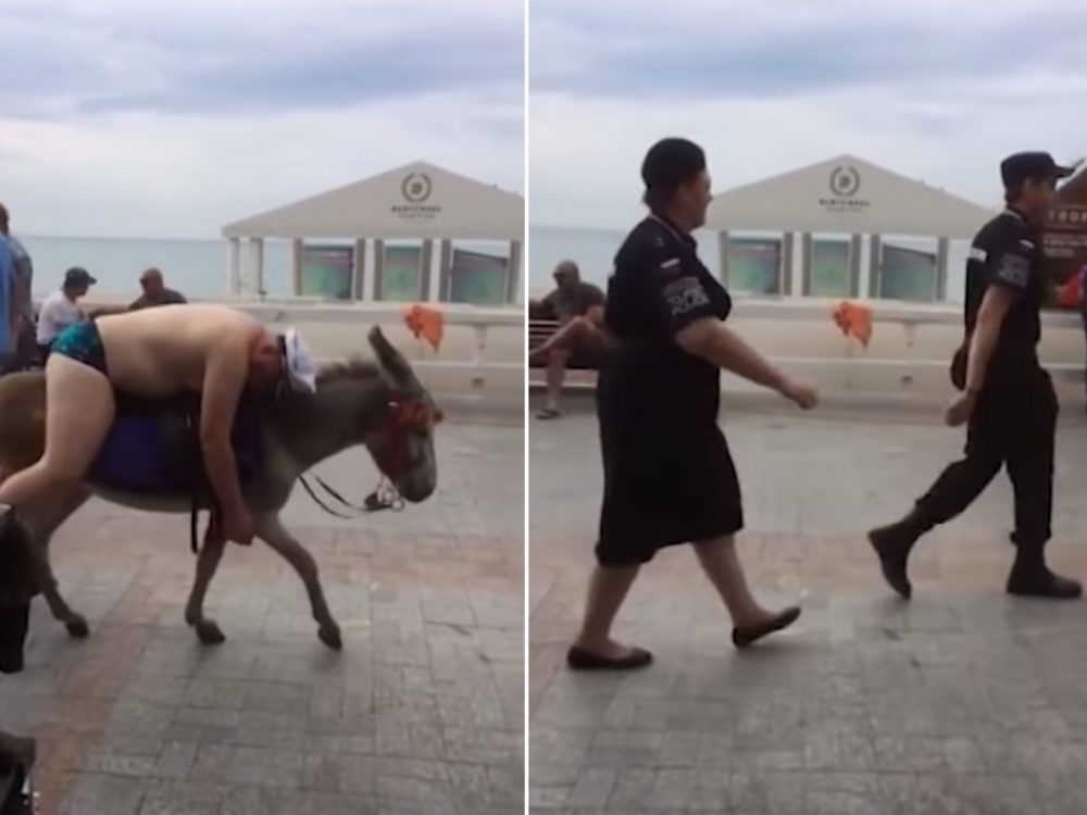 Opilý muž na oslovi baví internet. Tohle VIDEO je důkazem, že alkohol není pro každého