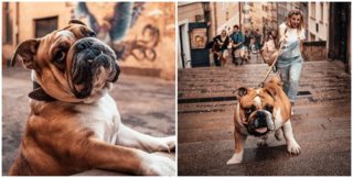 Seňor Pupík si získal český internet! Podívejte se na&nbsp;roztomilou GALERII