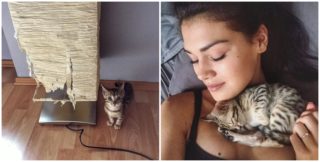 GALERIE: Kazmova kočka je hvězdou internetu! Jak se vám bengálka Tigi líbí?