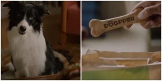 VIDEO: Burger King nově nabízí i&nbsp;jídlo pro&nbsp;psy! Novinku oznamuje dojemná reklama