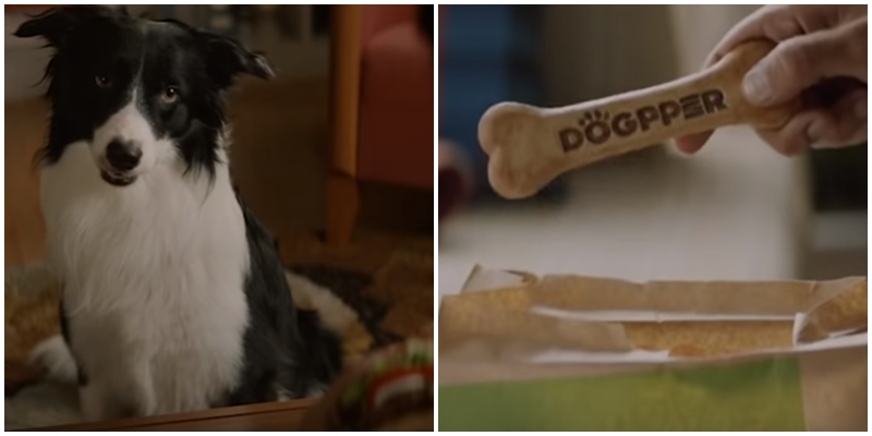 VIDEO: Burger King nově nabízí i jídlo pro psy! Novinku oznamuje dojemná reklama
