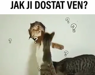 VIRÁLY TÝDNE: Na&nbsp;co všechno můžete narazit v&nbsp;letadle? A&nbsp;proč jsou melouny zrádné?
