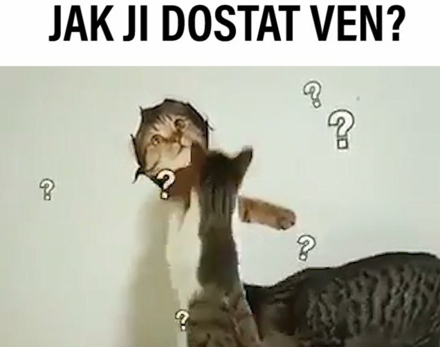 VIRÁLY TÝDNE: Na co všechno můžete narazit v letadle? A proč jsou melouny zrádné?