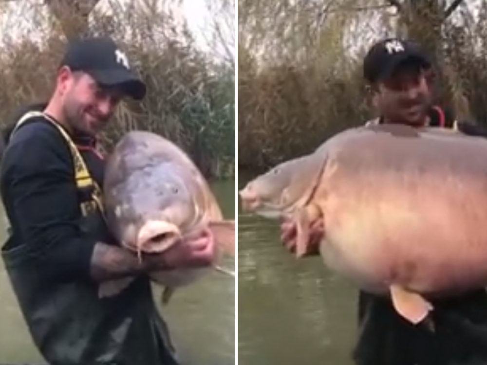 VIDEO: Rybář chytil obřího kapra a&nbsp;stanovil nový světový rekord! Jak byla ryba velká?