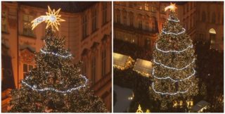 Pošlete tip pro&nbsp;pražský vánoční strom! Zasílatel vítězného stromku bude odměněn