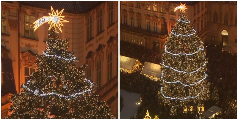 Pošlete tip pro&nbsp;pražský vánoční strom! Zasílatel vítězného stromku bude odměněn