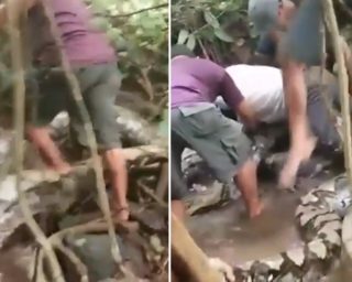 VIDEO: Scéna jak z&nbsp;hororu! Šest mužů bojovalo s&nbsp;obří krajtou