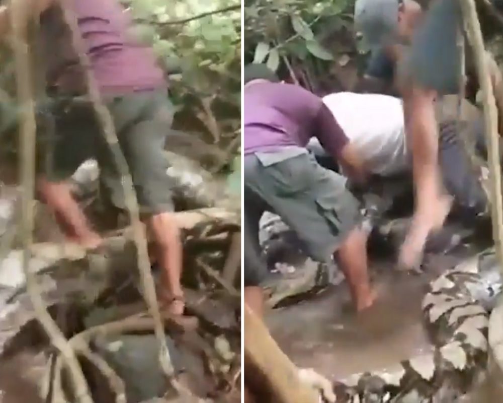 VIDEO: Scéna jak z hororu! Šest mužů bojovalo s obří krajtou