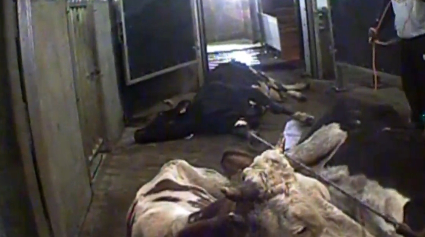 Zkažené maso z&nbsp;Polska se dostalo na&nbsp;Slovensko. Je to nahodilý případ, tvrdí ministr