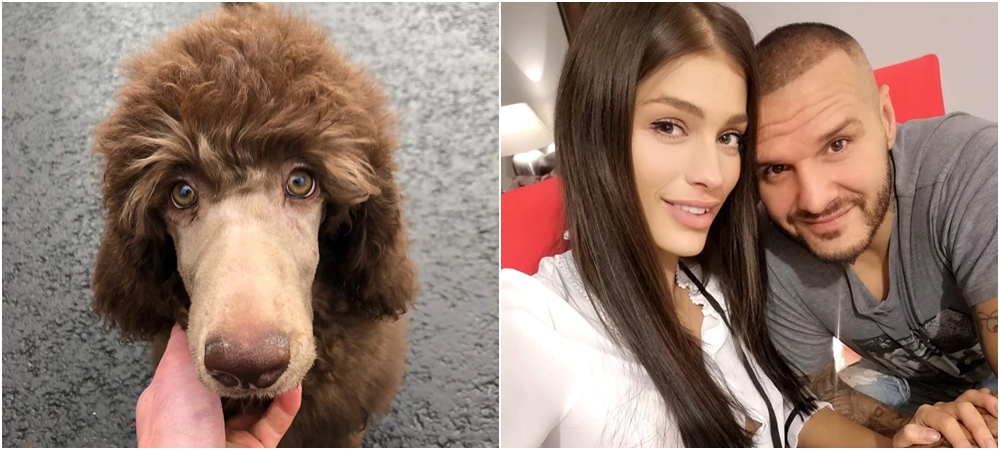 Jasmina a Rytmus se chystají na miminko! Pořídili si chlupatého mazlíčka