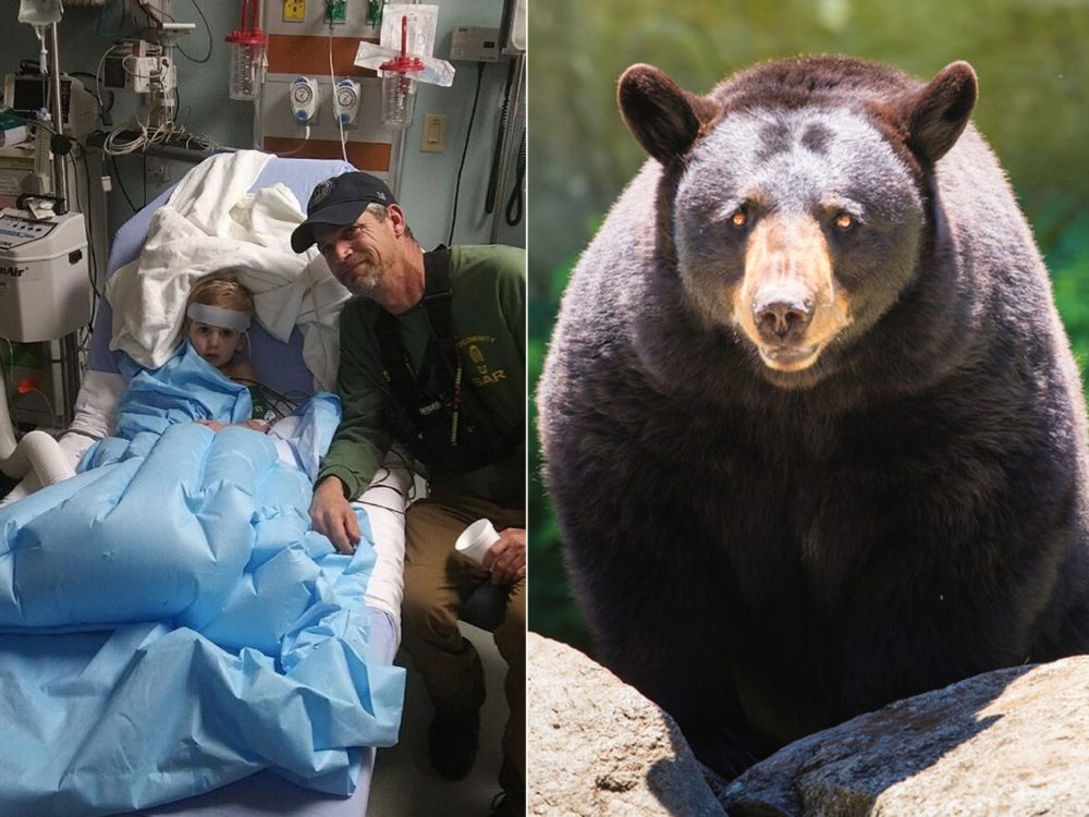 FOTO: Ztracený tříletý chlapec byl konečně nalezen! Toulal se prý s medvědem