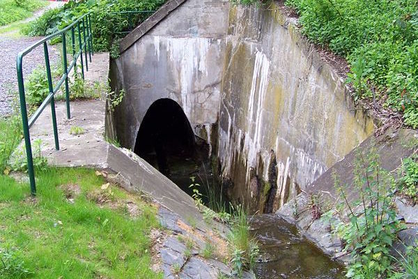 Příčina smrti: hloupost. Darwinovu cenu za nejhloupější smrt v&nbsp;roce 2018 získali i&nbsp;dva Češi