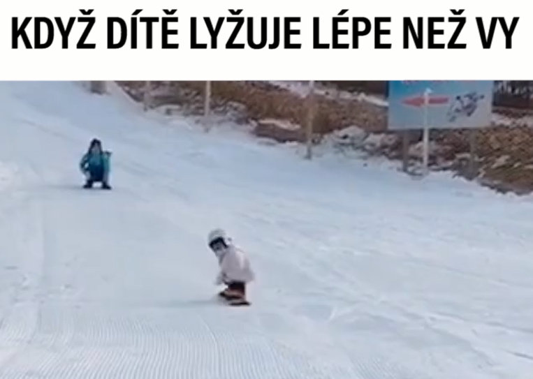 VIRÁLY TÝDNE: Jak může dopadnout kočkování? A&nbsp;jak si usnadnit život?