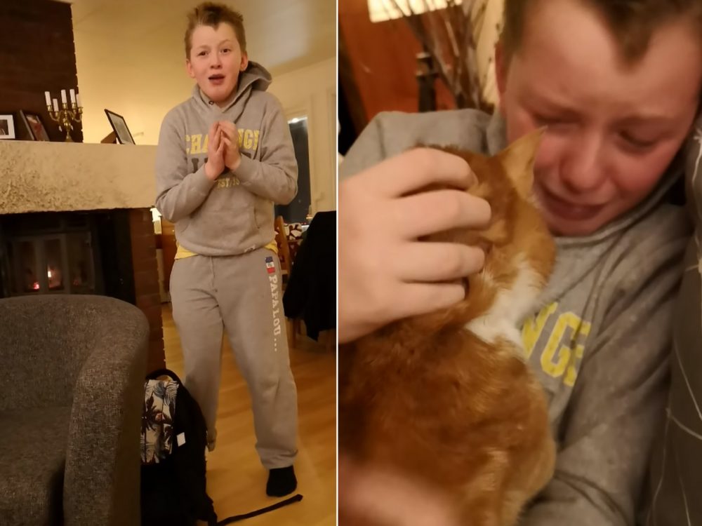 VIDEO: Dojemné shledání! Chlapec se po&nbsp;sedmi měsících setkal se svým kocourem