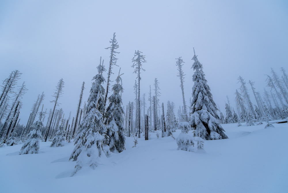 Padl rekord! Na Šumavě v noci klesla teplota na minus 33,3 stupně Celsia