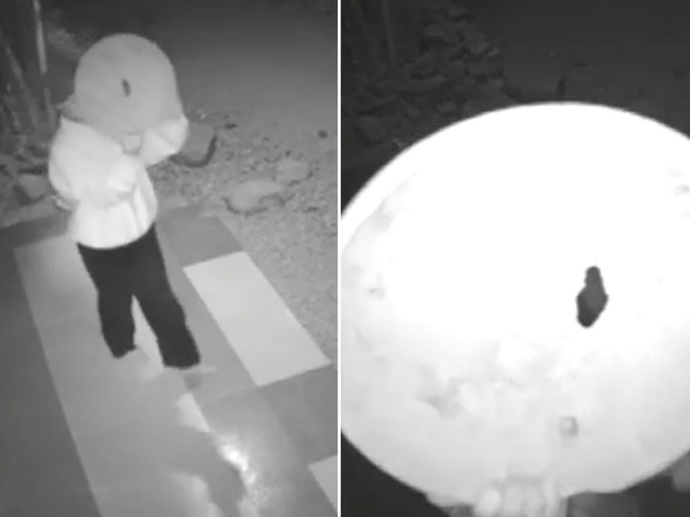 VIDEO: Netradiční maskování obličeje zloději nepomohlo. Udělal totiž zásadní chybu