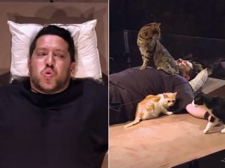 FOTO: Muž má fobii z&nbsp;koček! Kamarádi mu proto připravili nemilosrdnou zkoušku