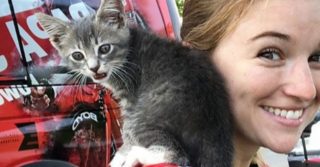 FOTO: Koťátko bez domova skočilo na&nbsp;cyklistku! Rozhodla se ho adoptovat