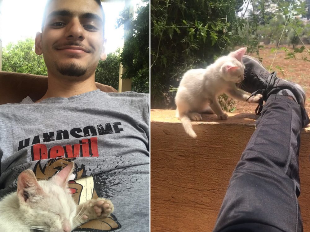 FOTO: Mladík usnul na&nbsp;verandě, po&nbsp;probuzení u&nbsp;něj leželo neznámé kotě. Nechám si ho, ujišťuje