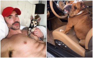 Psí život v&nbsp;Hollywoodu: Tito chlupáči se mají lépe, než vy!