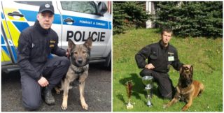 Skvělá práce! Policejní psi Quirinus a&nbsp;Schegy dostali další podezřelé