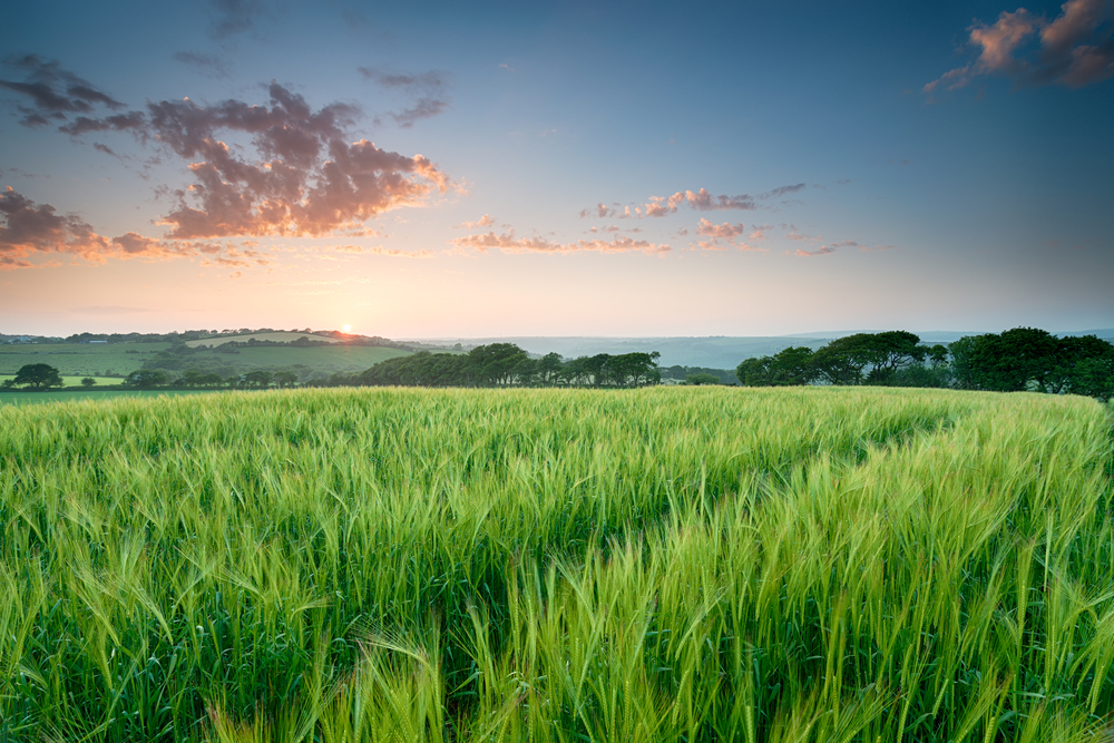 Před půlnocí nastane slunovrat, začíná astronomické léto