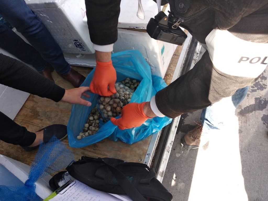 Kontrola Sapy odhalila ryby ve špinavém autě i&nbsp;mušle v&nbsp;teple