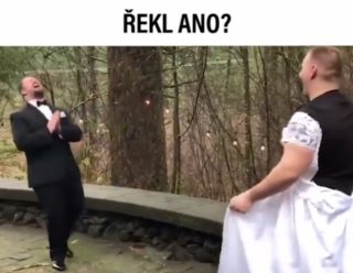 VIRÁLY TÝDNE: K&nbsp;oltáři jedině s&nbsp;kámošem. Taky máte taneček u&nbsp;dobrého jídla?