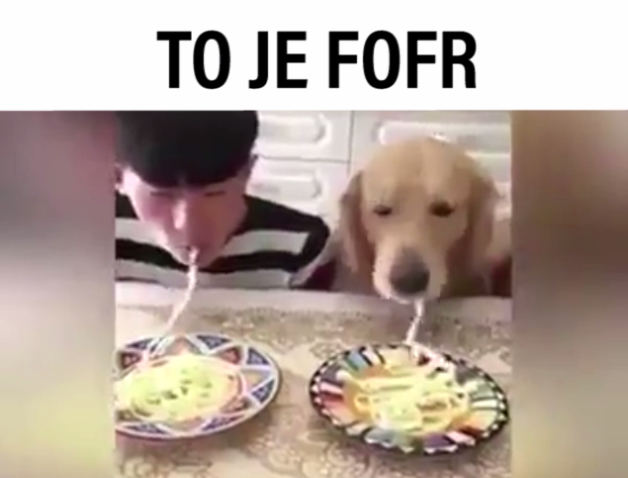 VIRÁLY TÝDNE: Pokrok nezastavíš! A jak vypadá absolutní pohoda?