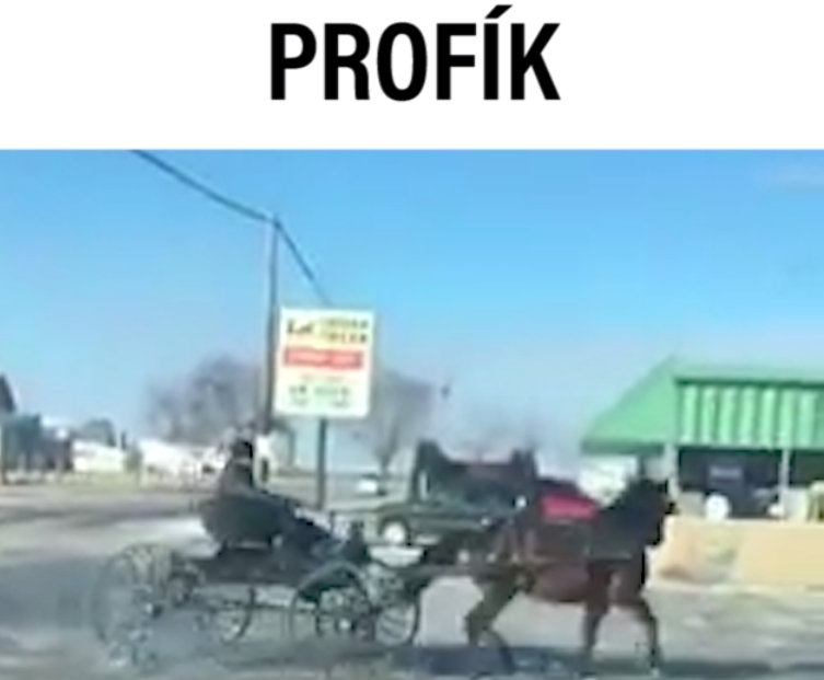 VIRÁLY TÝDNE: Jak se leze na&nbsp;velblouda? A&nbsp;jak řídit kočár?