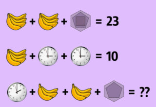 FOTO: Pálí vám to? Pak tuto rovnici snadno vyřešíte!