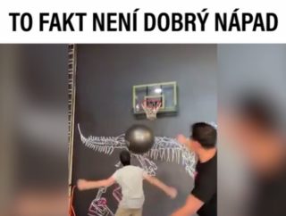VIRÁLY TÝDNE: Starého koně novým kouskům nenaučíš. Basketbal v&nbsp;kanclu nehrajte