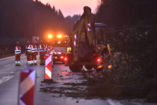 D1 na&nbsp;Vysočině byla kvůli spadaným stromům zavřená 14 hodin