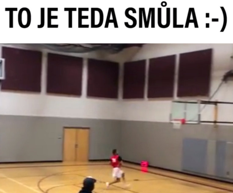VIRÁLY TÝDNE: Jak vypadá opravdová smůla? A co udělá papoušek, který se odmítá fotit?