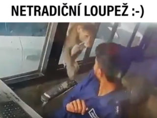 VIRÁLY TÝDNE: Jaký je nejideálnější typ lupiče?