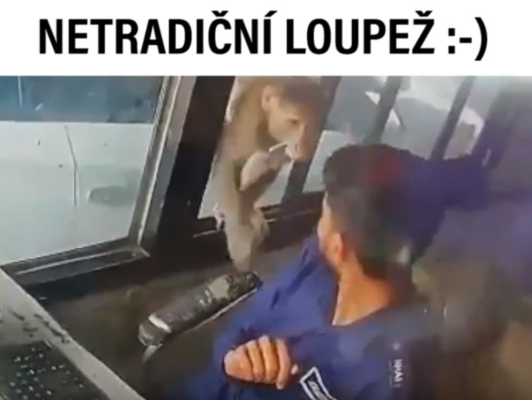 VIRÁLY TÝDNE: Jaký je nejideálnější typ lupiče?