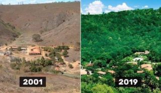 Manželský pár se rozhodl zalesnit půdu o&nbsp;rozloze Gibraltaru! Po&nbsp;dvaceti letech mají splněno