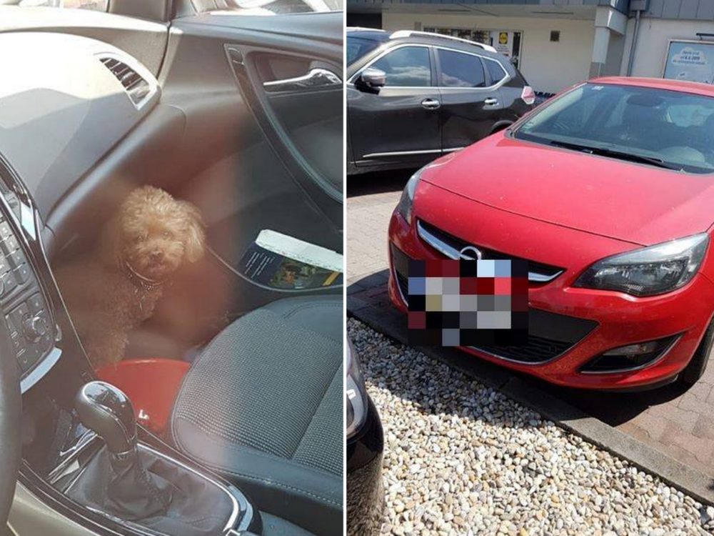 Majitelka nechala psa při&nbsp;tropických teplotách v&nbsp;autě a&nbsp;šla si nakoupit! O&nbsp;případ se zajímá policie