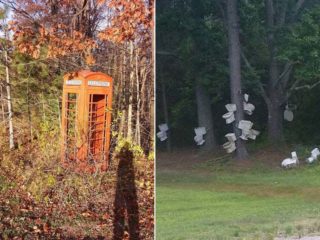 Co všechno lze najít v&nbsp;lese? Tohle byste určitě nečekali