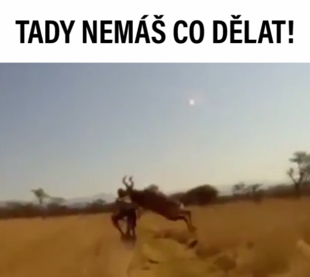 VIRÁLY TÝDNE: Jak vypadá opravdová smůla? A na co pozor u skleněných stolů?