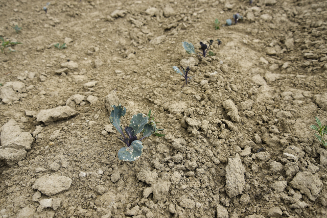 Sucho se v&nbsp;minulém týdnu v&nbsp;ČR rozšířilo. Bude hůř