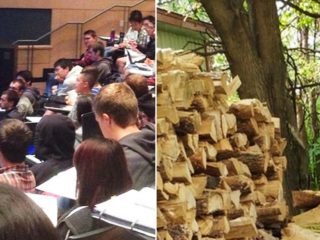 Najdete na&nbsp;obrázcích zvíře? Procvičte si s&nbsp;námi zrak