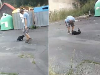 Neuvěřitelné! Brutální video ukázalo, jak majitel ohavně zacházel s&nbsp;fenkou