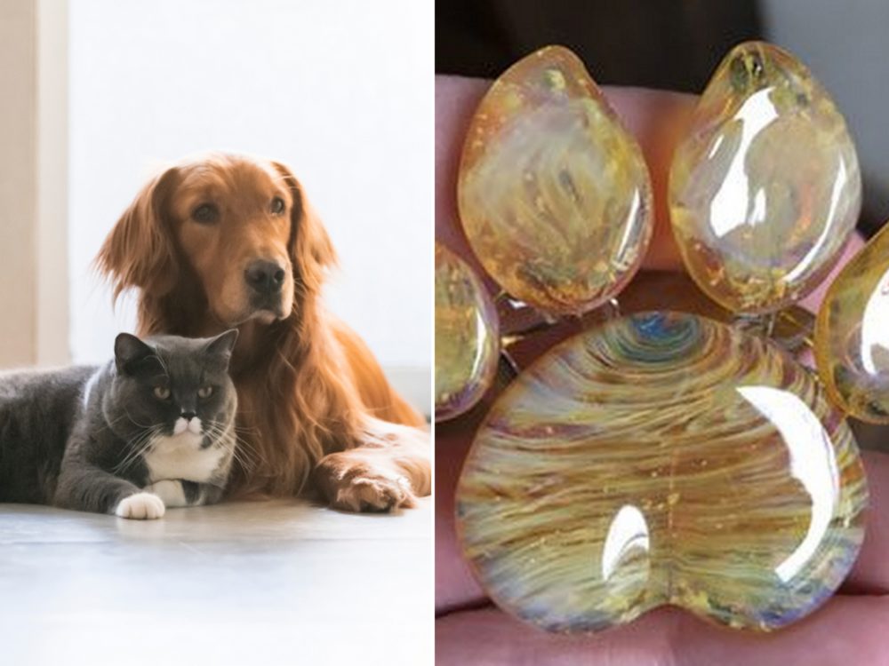 Zemřel vám domácí mazlíček? Firma vám z&nbsp;jeho popela udělá skleněnou památku