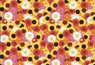 Tuhle hádanku byste měli rozlousknout do osmi sekund! Najdete včelu?